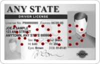 Sample Driver's License with VOID Perforation holes 