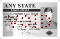 Sample Driver's License with VOID Perforation holes Sample Driver's License with VOID Perforation holes